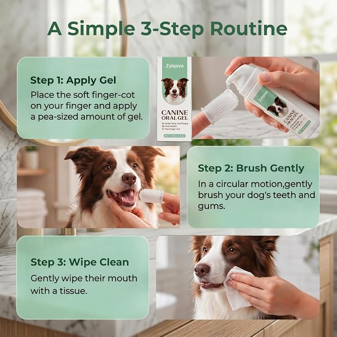 Dog Toothpaste and Toothbrush Kit, Dog Dental Gel for Plaque and Tartar Removal, Dog Teeth Cleaning for Fresh Breath and Daily Oral Support, Suitable for Dogs of All Ages(3.5 OZ)