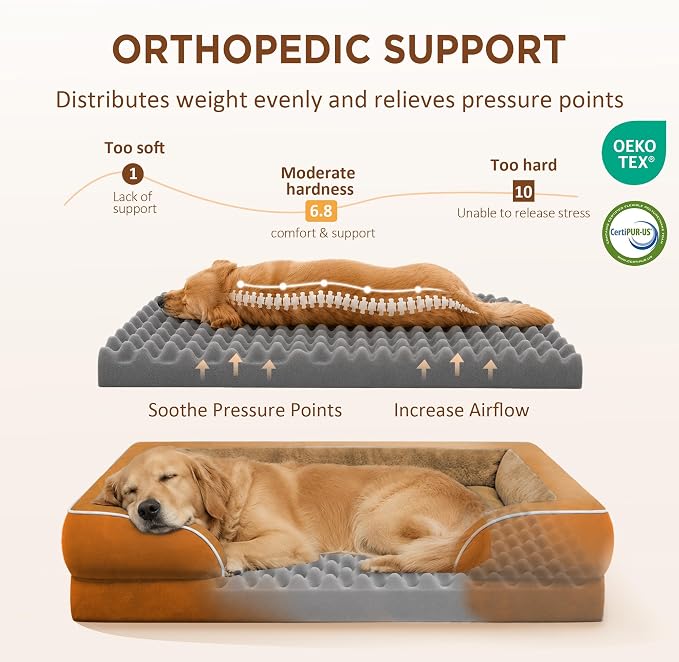 Comfort Expression Orthopedic Dog Beds for Large Sized Dog with Bolster | Waterproof Dog Couch Bed with Washable Cover & Non-Slip Bottom, Supportive Egg Crate Foam Large Pet Bed, 38x25 Inch