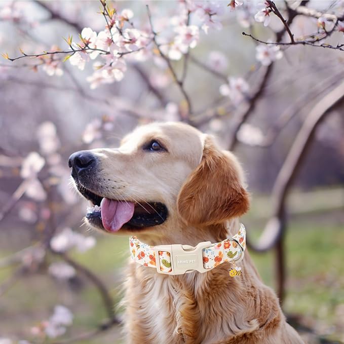 ARING PET Dog Collar, Cute Spring Summer Insects Bee Floral Doggy Collars with Quick Release Buckle for Puppy Small Medium Large Dogs-M
