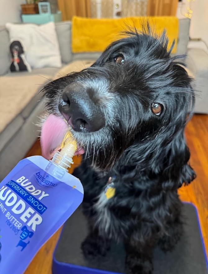 BUDDY BUDDER 6 Pack Mixed Flavor Squeeze Packs, 100% Natural Dog Peanut Butter, Healthy Peanut Butter Dog Treats, Made in USA, (4oz Packs)