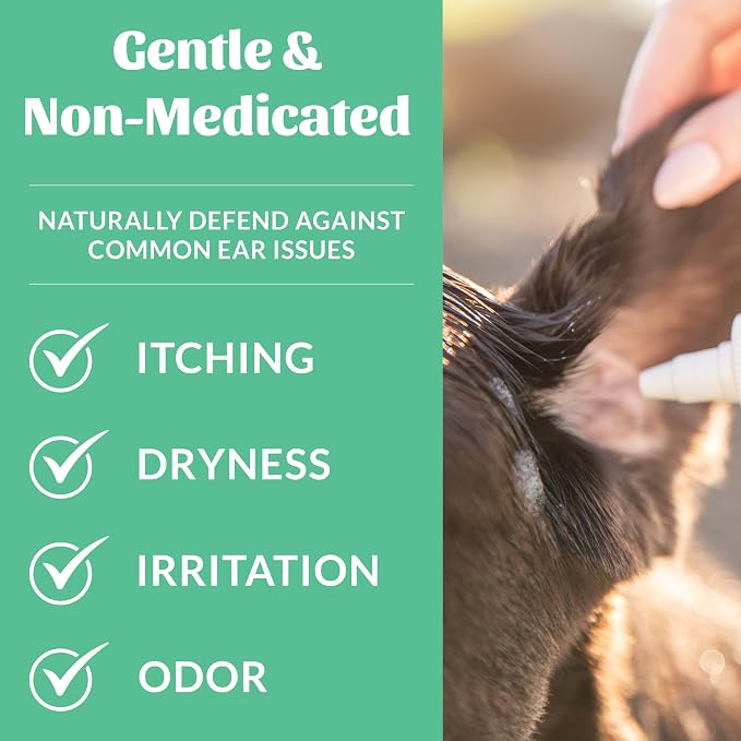 SKOUT'S HONOR Probiotic Dog Ear Cleaner, 4 oz, 2-Pack | Non-Medicated Gentle Ear Cleaning Solution for Itchy Ears, Microbiome-Friendly with Aloe Vera, Alcohol-Free, Unscented