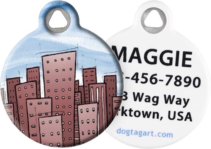 Personalized United States Flags Pet ID Tags for Dogs and Cats, Cityscape, Large