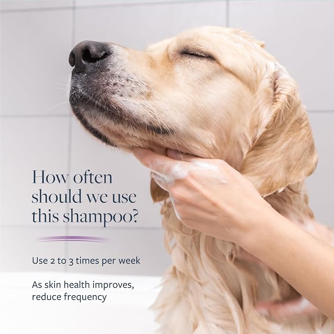 Veterinary Formula Clinical Care – Antiparasitic & Antiseborrheic Medicated Dog Shampoo – Supports Dry, Irritated Skin and Helps Soothe Occasional Itchy Spots – 1 Gallon