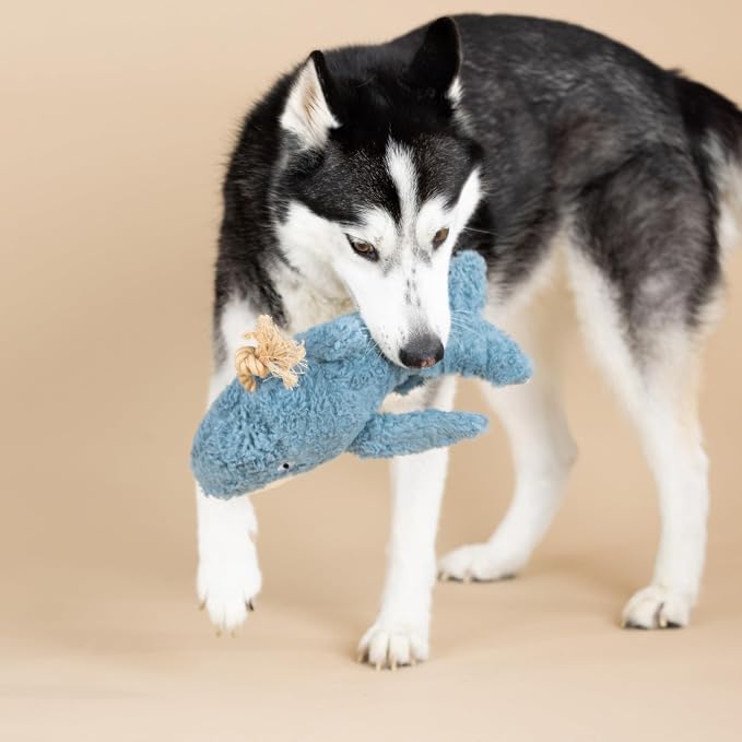 Fringe Studio OH Whale 3D Earth Friendly Cotton Canvas Dog Toy, PetShop Collection (718007)