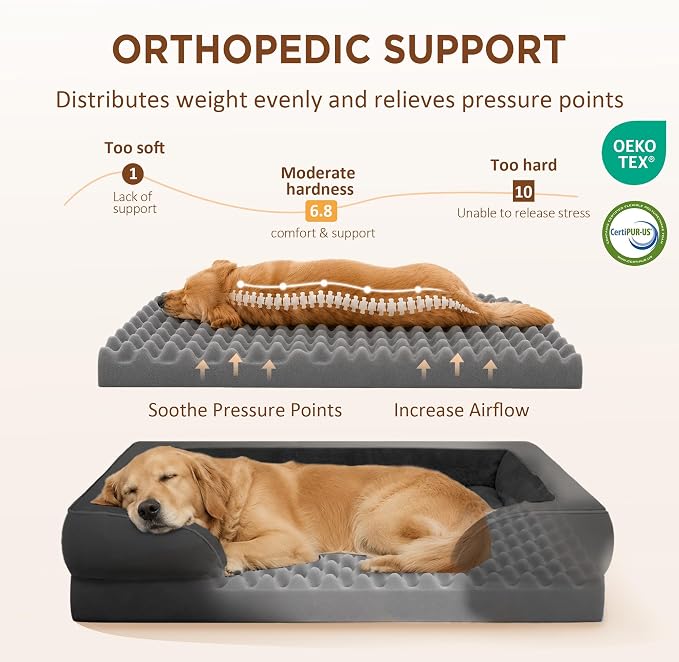 Comfort Expression Orthopedic Dog Bed for Extra Large Dogs with Bolster | Waterproof Dog Couch Bed with Washable Cover & Non-Slip Bottom, Supportive Egg Crate Foam XL Pet Bed, 42x30 Inch