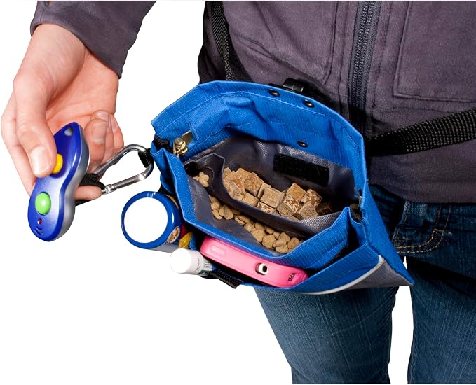 PetSafe Dog Treat Pouch Sport, Black, Mini, 6.25 in L x 5 in H | Water & Stain-Resistant Training Pouch with Divided Treat Pocket, Belt Clip & Carabiner for Keys or Bags, Machine Washable