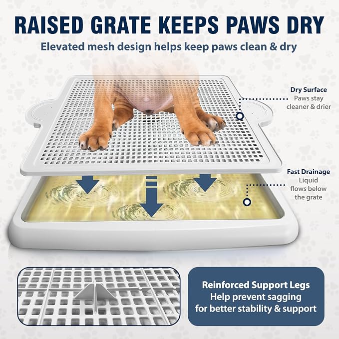 Dog Potty Tray with Raised Mesh – No More Wet Paws or Mess – Leak Proof Pee Pad Holder for Indoor Puppy Training – Easy Clean, Anti-Slip – Alpha Dog Series (22” x 17”)