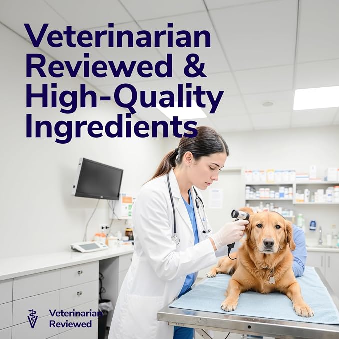 Miracle Vet Medicated Dog Shampoo for Itchy Skin Relief - Antifungal for Dog Allergy Relief, Yeast Infection, Hot Spot & Dry Skin Anti-Itch Treatment Wash - Hydrocortisone 8 fl oz