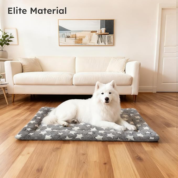 Dog Bed Mat, Dual-Sided Dog Crate Bed Mat - Ultra Soft & Machine Washable Kennel Pad for Small Dogs, All-Season Comfort Pet Bed for Crates, Travel, and Home, Star Gray, 24 x 16 Inch