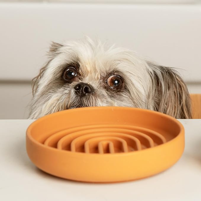 Should We Go? Slow Feeder Dog Bowls - Small Size Silicone Slow Eating Dog Bowl for Puppies & Dogs with Suction Cup -Dishwasher-Safe,Lick Mat Design,Reduces Gulping,for All Breeds, 6”x1.25”-Terracotta