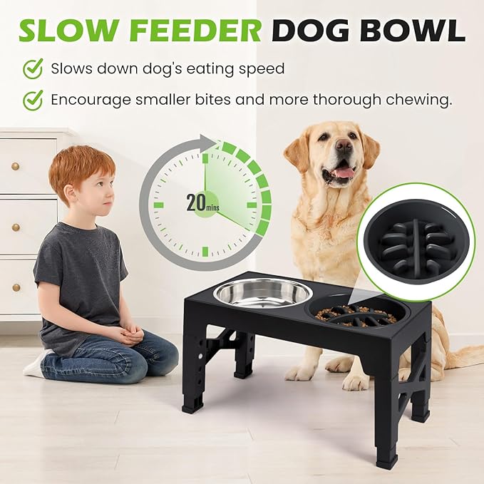 Elevated Dog Bowls with 5 Adjustable Heights Stand | Stainless Steel Bowls, Slow Feeder, 3.2" to 12.2" Hegiht Raised Dog Bowl for Small to Large Dogs