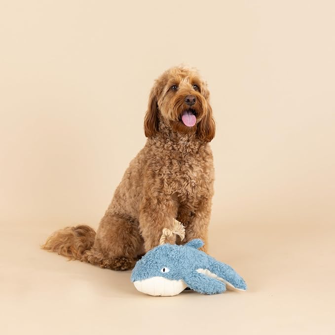 Fringe Studio OH Whale 3D Earth Friendly Cotton Canvas Dog Toy, PetShop Collection (718007)
