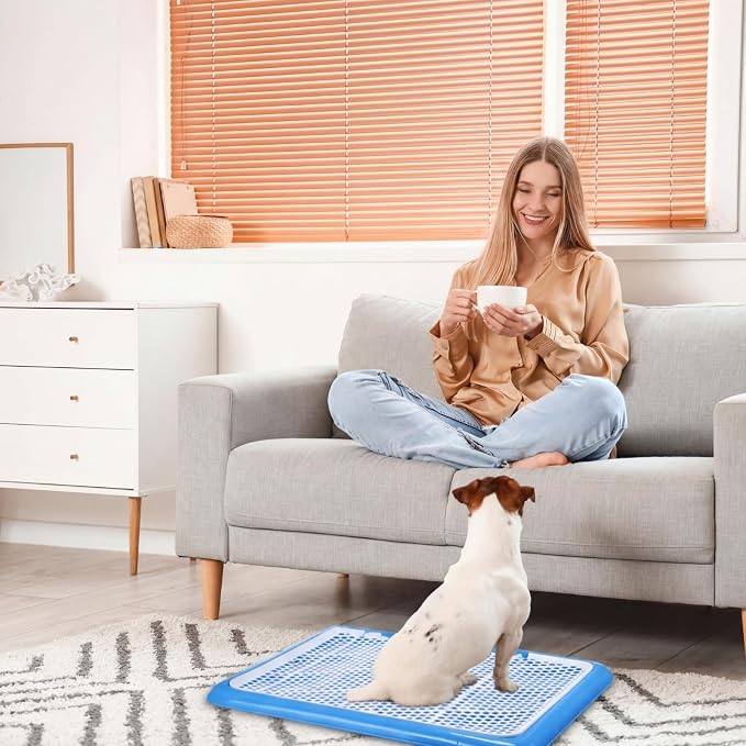 Mifoci 1 Pcs Dog Potty Tray Mesh Puppy Training Pad Holder Floor Protection Portable Pee Pad Pet Toilet Training Tray Litter Box Corner for Medium and Large Dogs (25.6 x 18.9 Inch,Blue)