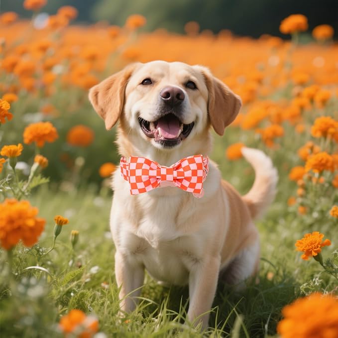 DOGWONG Orange Pink Plaid Dog Collar with Bow - Adjustable and Comfortable Autumn Dog Collar Fall Necklace for Large Medium Small Pet,S
