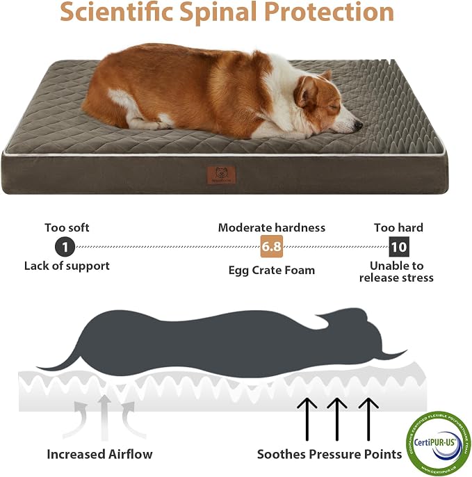 WNPETHOME Orthopedic Waterproof Large Sized Senior Dogs Bed for Comfy Sleep | Washable Ped Bed with Removable Cover, Multi-Needle Quilting Large Dogs Crate Bed for Dog Relax, Dark Green 36x27 Inch