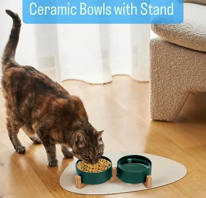 Ceramic Cat and Small Dog Bowl Set – Modern Indoor Small Size Pet Food and Water Bowls with Wood Stand – Non Slip Puppy Sized Feeding Station with Double Dishes (Green)