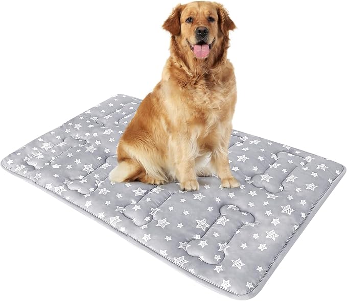 Dog Crate Pad Mat (42" X 28"), Soft Dog Bed Mat with Cute Prints | Personalized Crate Pad, Anti-Slip Bottom, Machine Washable Kennel Pad
