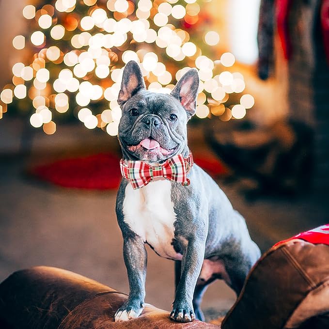 DOGWONG Christmas Dog Collar with Bow Tie - Christmas Red Plaid Puppy Collar, Adjustable Red Checkered Dog Collars for Girl Boy Dogs, L