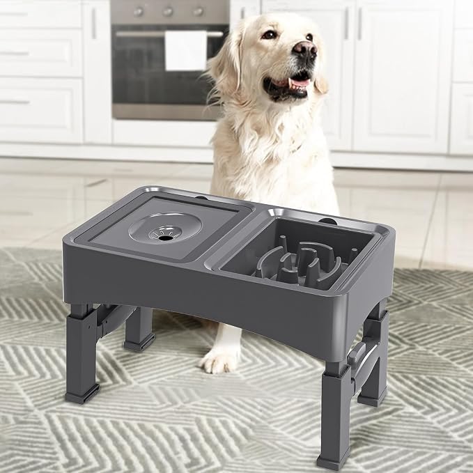 UPSKY 2-in-1 Elevated Dog Bowls Set with 4 Height Adjustable Stand, Gray | No Spill Water Bowl, Slow Food Bowl, No-Splash, Anti-Slip, Dishwasher Safe, Folding Design, Suitable for Small Medium Dogs