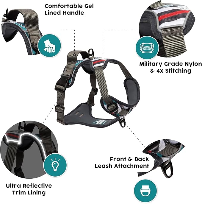 Embark Adventure Dog Harness for Small, Medium & Large Dogs – No Pull, Reflective Trim, Heavy Duty Oxford, 2 Leash Clips, Gel-Lined Handle, Soft Padded