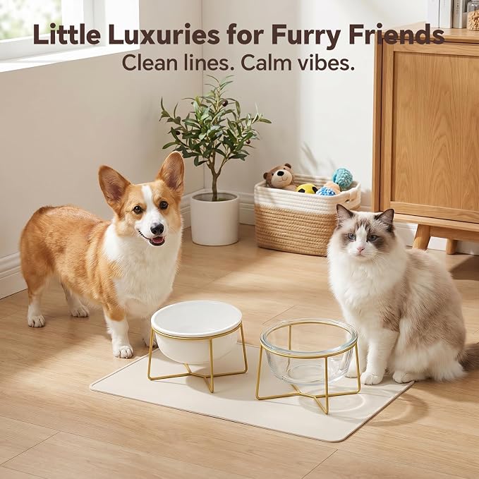 White Large Ceramic Tilted Elevated Cat Dog Bowl Raised Cat Food Water Bowl Dish Pet Comfort Feeding Bowls with Gold Iron Stand