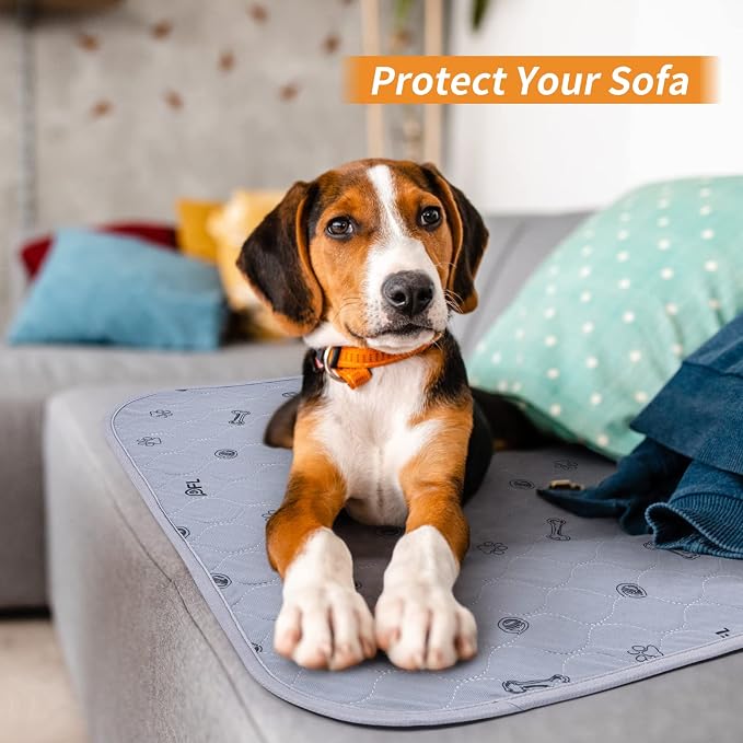 2Pack Puppy Pads Washable, 48x48 Reusable Pee Pads for Dogs, Absorbent Whelping Pads Waterproof Dog Rug Non-Slip Protector for Housbreaking,Potty Training,Bed Couch Carpet | Reusable, Non-Slip Whelping Pads, Waterproof Dog Rug for Housbreaking,Potty Tr...
