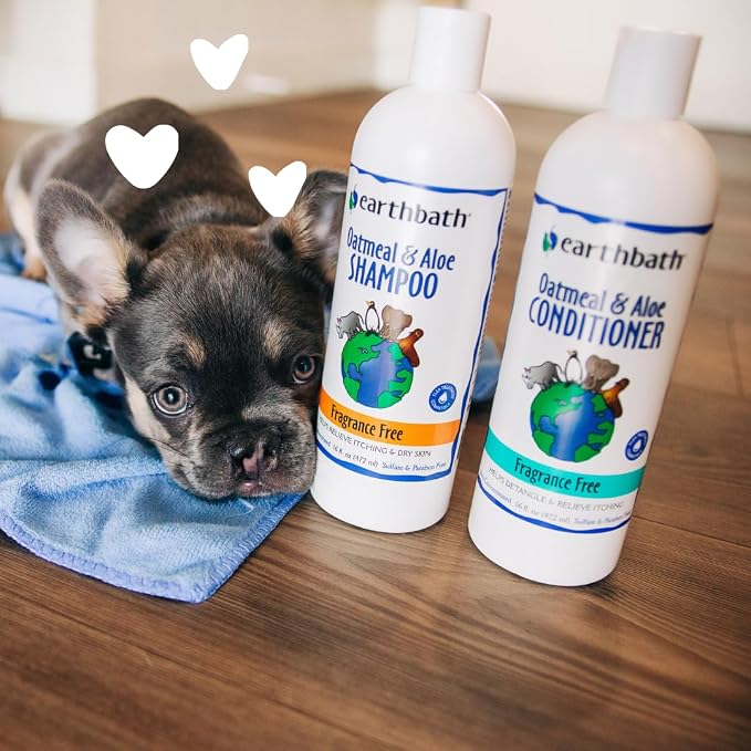 earthbath, Oatmeal & Aloe Dog Shampoo and Conditioner Oatmeal Shampoo For Dogs - Itchy, Dry Skin Relief, Dog Wash, Made in USA, Dog Conditioner, Fragrance Free Pet Shampoos - 16 Oz (1 Set)