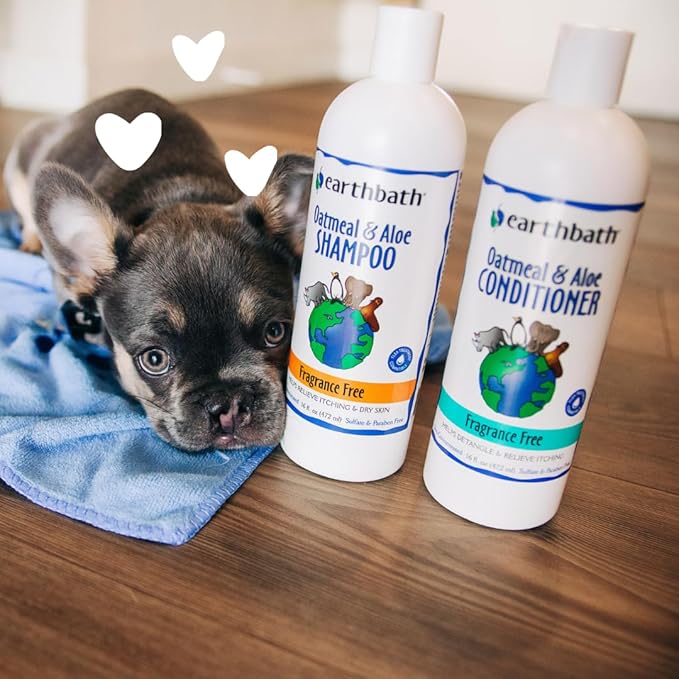 earthbath Oatmeal & Aloe Dog Shampoo, Itchy, Dog Wash, 16 Oz (2 Pack) | Oatmeal Shampoo For Dogs, Dry Skin Relief, Made in USA, Cruelty Free, Fragrance Free Pet Wash