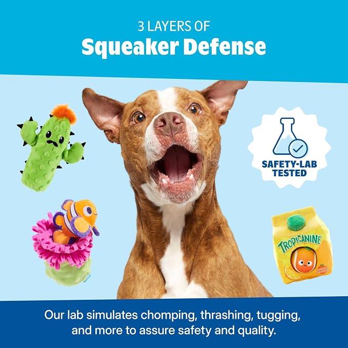 Barkbox Fetch N' Win Wheel Dog Toy | Fluff-Free Crinkle Disc with T-Shirt Rope & Reinforced Woven Binding | Fetch & Tug Toy for Dogs