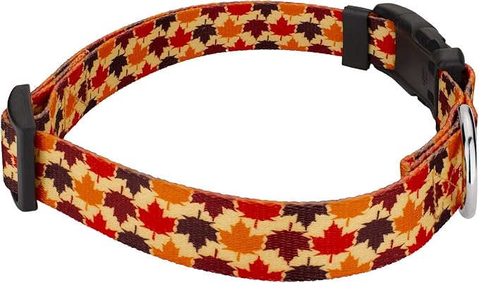Country Brook Petz - Nature Walk Everyday Dog Collar Limited Edition - Made in The U.S.A. - Awesome Autumn Collection Featuring Designs You'll Fall for (1/2 Inch, 2XS)