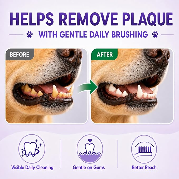 Dog Toothbrush, Dual-Head, for Medium-Large Dogs, Green | Soft Bristles for Gentle Cleaning ,60° Curved Bristles for Better Coverage ,Comfortable for Sensitive Gums
