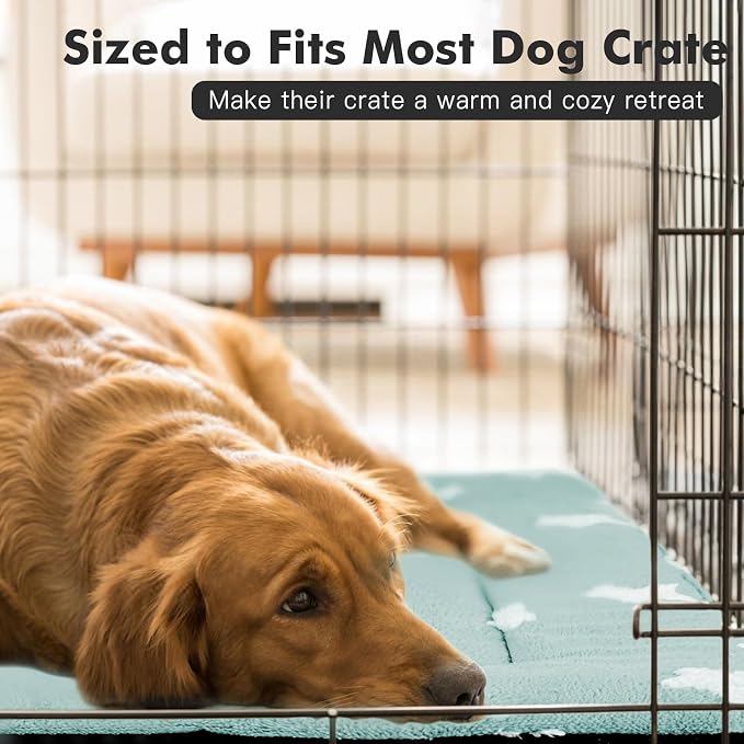 Mora Pets Dog Crate Pad Washable Puppy Dog Bed for Crate Flat Kennel Mat | Soft Dog Cat Bed Mat, Crate Pad for Dog Cages Cozy Sleeping Liner, Pet Pillow Cushion Medium Cute Star Anti Slip Blue 30 x 19