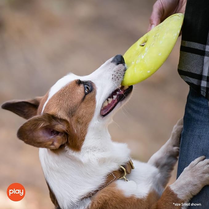 P.L.A.Y. Cute Outdoor Dog Toys - ZoomieRex InfiniDisc Rubber Frisbee, Great for Puppies & Small, Medium, Large Dogs - Dishwasher Safe, Lightweight, Floats in Water, Beach Friendly (Green, Large)