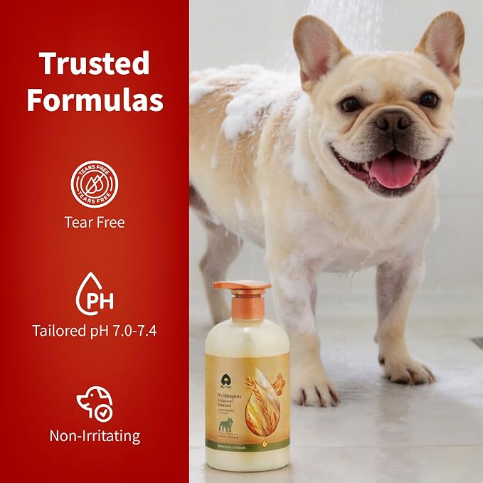Arf Arf Odor Control Dog Shampoo – Burdock & Oatmeal, Smelly Dogs, 16oz | Odor control, burdock root sebum regulator, oatmeal protein, long-lasting scent, smelly dogs, oily coats, 500ml pump