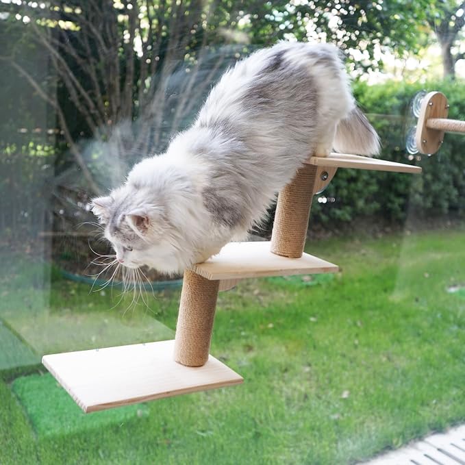 Cat Window Ladder 3-Levels for Indoor Cats, Climbing Window Shelf | with Strong Suction Cups, for Bird-Watching & Play, Space-Saving
