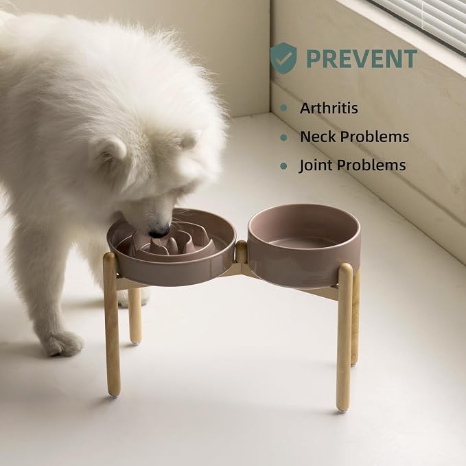 Havniva 9.5” Raised Slow Feeder Dog Bowls Set, 3.2 Cups Ceramic Slow Feeder Dog Bowl and 8.2” Dog Water Bowl with Elevated Wooden Stand Puzzle Dog Food Bowl for Large Dogs Anti-Gulping & Anti-Choking