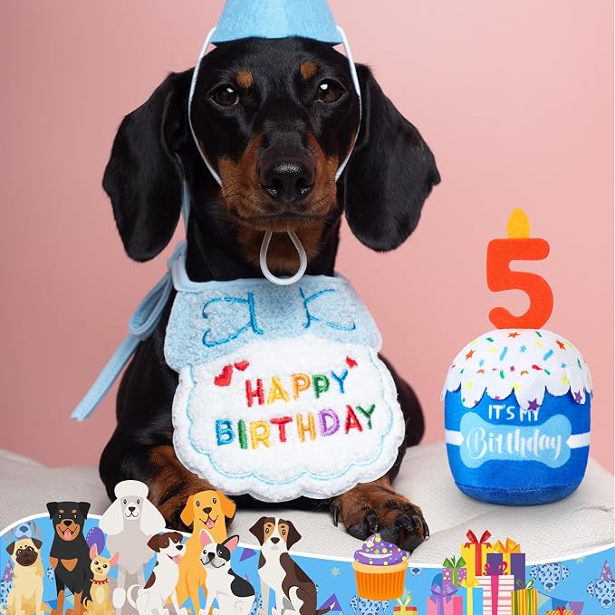 Dansydaisy Dog Birthday Cake Toy Squeaky Plush Toy for Girl Boy Gifts, Chew Accessories for Dog Birthday Party Decor Favor for Large, Medium and Small Dogs(5th,Blue)
