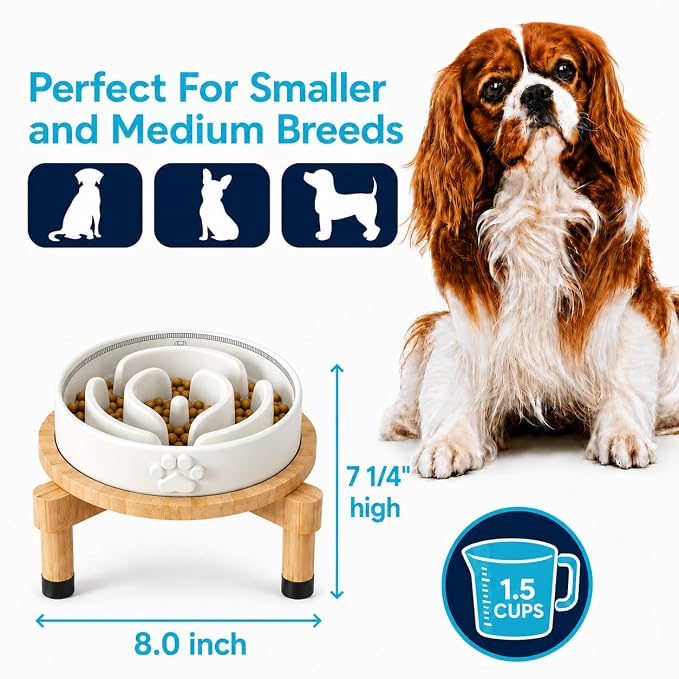 Slow Feeder Dog Bowls – Elevated Dog Bowl Slow Feeder with Bamboo Stand– Microwaveable Dog Slow Feeder for Small and Medium Dogs – Lead and BPA-Free Ceramic Pet Bowl – Pet Feeder for Fast Eaters