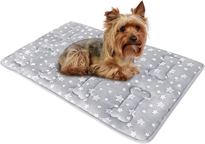 Dog Crate Mat (24" X 18"), Soft Dog Bed Pad Mat with Cute Prints | Personalized Crate Pad, Anti-Slip Bottom, Machine Washable Kennel Pad