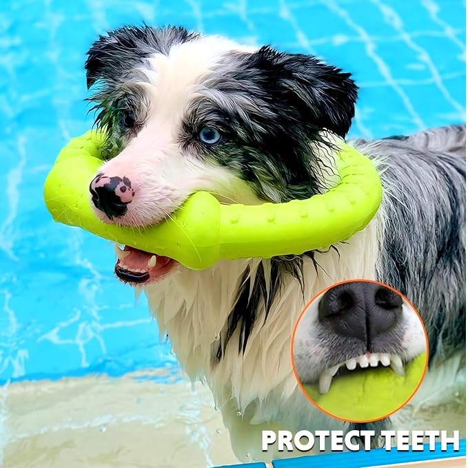 LaRoo Dog Ring Toy, Durable Soft Flying Disc, Thickened, Floatable Pool Toy for Medium Large Dogs, Interactive Tug of War & Fetch Toy for Outdoor Training, Teeth Cleaning & Exercise (Green-11.8inch)