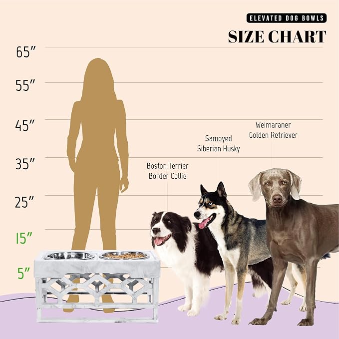 AVERYDAY Elevated Dog Bowls, 4 Height Adjustable Stand for Medium and Large Dogs, Raised Dog Feeder Holder with 2 Stainless Steel Food and Water Bowls, Anti-Slip Base Tall Feeding Station