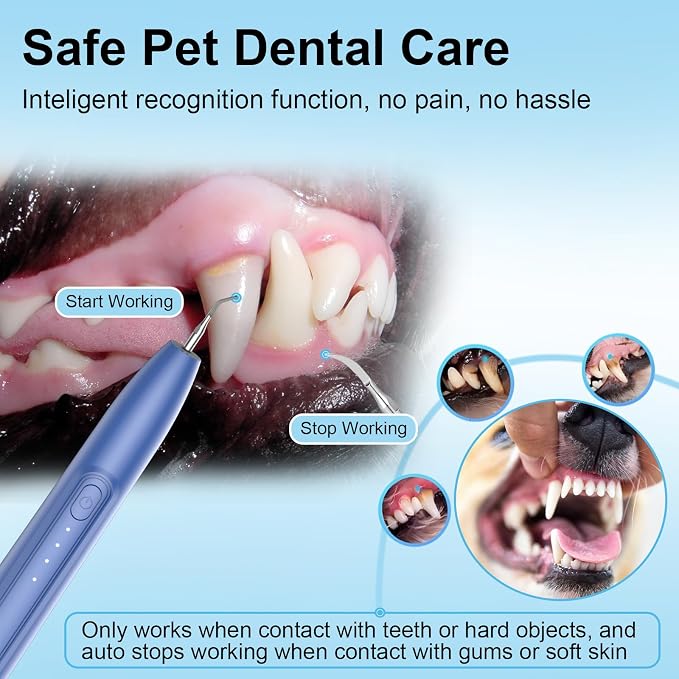 Ultrasonic Dog Plaque Remover Tool, 3 Modes Plaque and Tartar Remover for Dogs, Low Noise Sonic Dog Tartar Remover Dogs Plaque Remover with Toothbrush 2 Cleaning Head for Pet Dental Care, Blue