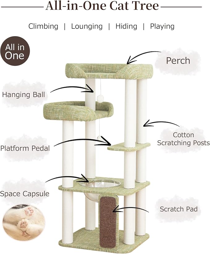 53'' Cat Tree for Large Cat, Modern Senior Friendly Cat Tower with Wide Shelves Low Step, Cotton Scratching Posts, Super Sturdy Base, Cozy Perches, and Interactive Toys (Green)