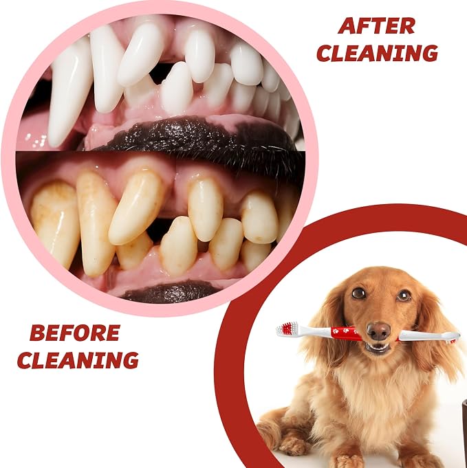 Pet Toothbrush for Dogs, Cats with Soft Bristles - Easy Teeth Cleaning & Dental Care, Non Slip Dual Head Dog Toothbrush for Medium & Large Pets, Toothpaste Not Included, Pack of 2 Red