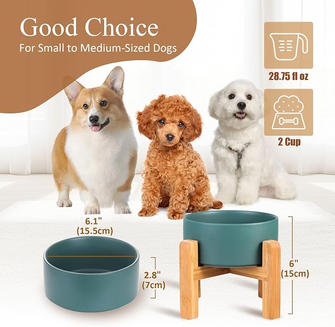 Ceramic Elevated Dog Bowl with Bamboo Stand, for Small & Medium Dog, Green