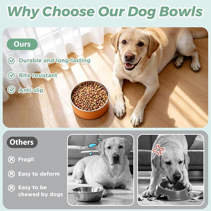 LIHONG Stainless Steel Dog Bowls for Small Meidum Sized Dogs,Dog Food Water Bowls No Slip,Dishwasher Safe(40oz,Orange)