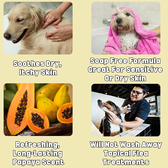 Itch Relief Oatmeal and Aloe Pet Shampoo 16 oz. for Dogs & Cats | Anti-Itch & Deodorizing Formula | Soothe and Moisturize Dry Itchy Sensitive Skin