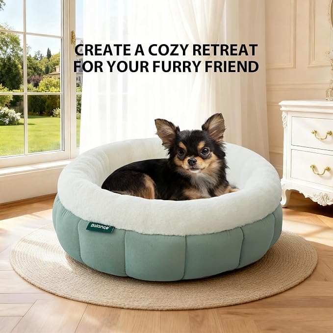 BALANCE Cat Beds for Indoor Cats, Washable Round Cat Bed, Cute Kitten Bed with Anti-Slip Bottom for Kitty and Puppy, 18 Inches, Granite Green