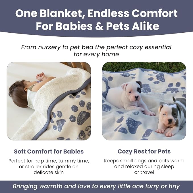 Small Pet Blanket - 100% Organic Cotton, Double Layer Plush Sherpa, Soft Plush, Blue Paw Jacquard Knit, 30"x40", Small Dog Blanket, Ideal Cat Blanket - Soft and Warm
