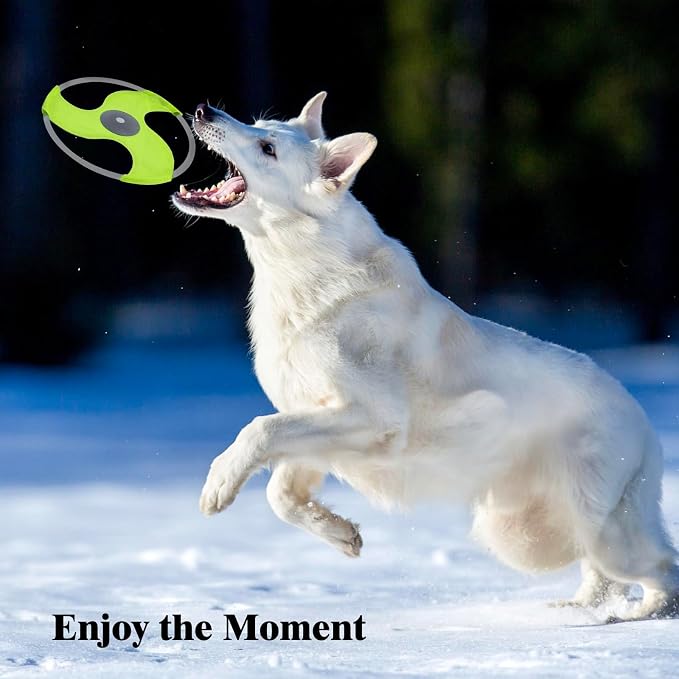 LED Dog Flying Disc, Rechargeable LED Light Dog Flying Disc Flyer Pet Toys, Glow in The Dark Pet Toy with 3 Light Models, High Visibility Lighted Pet Training Throwing Playing for Exercise
